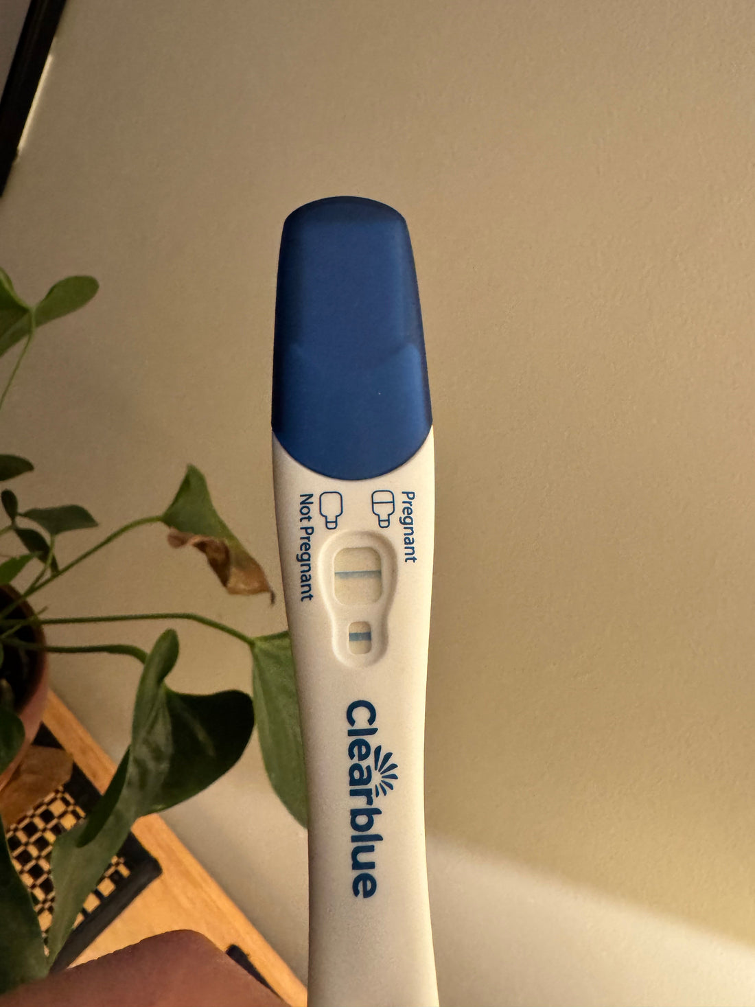 After Years of Trying, We Finally Saw Two Lines - Our Story of Hope