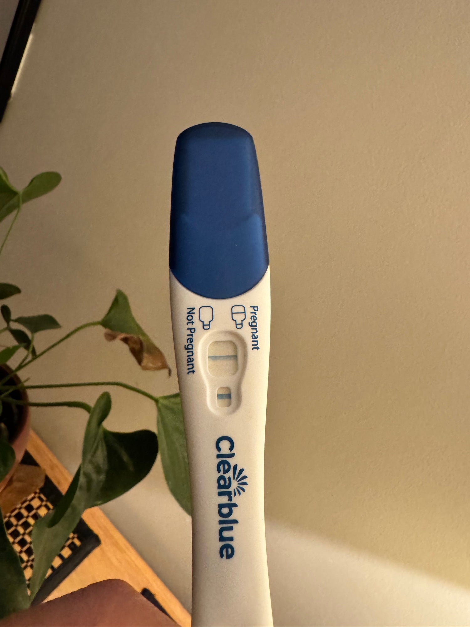 After Years of Trying, We Finally Saw Two Lines - Our Story of Hope