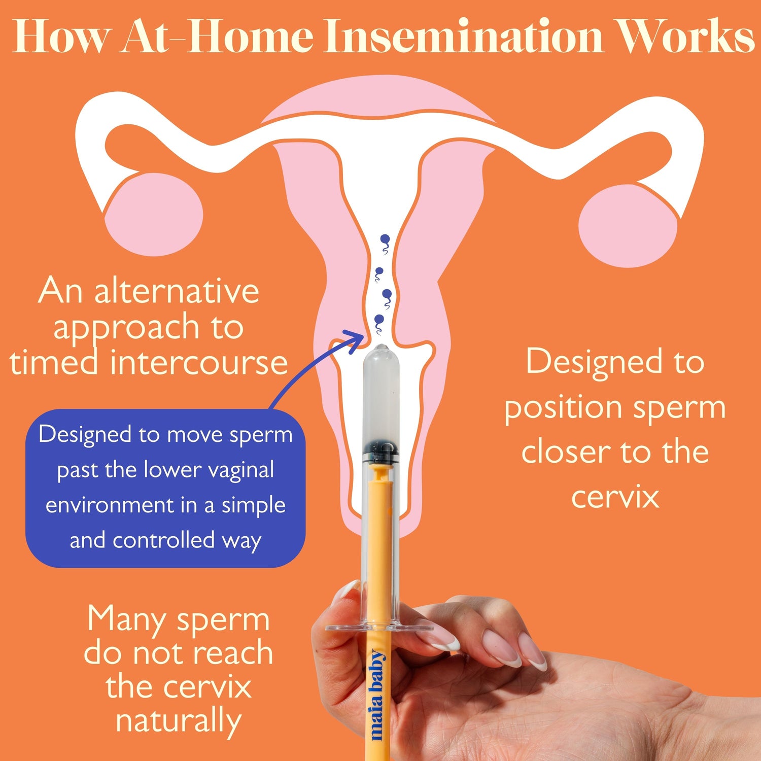 How At-Home Insemination Helps Place Sperm Closer to the Cervix